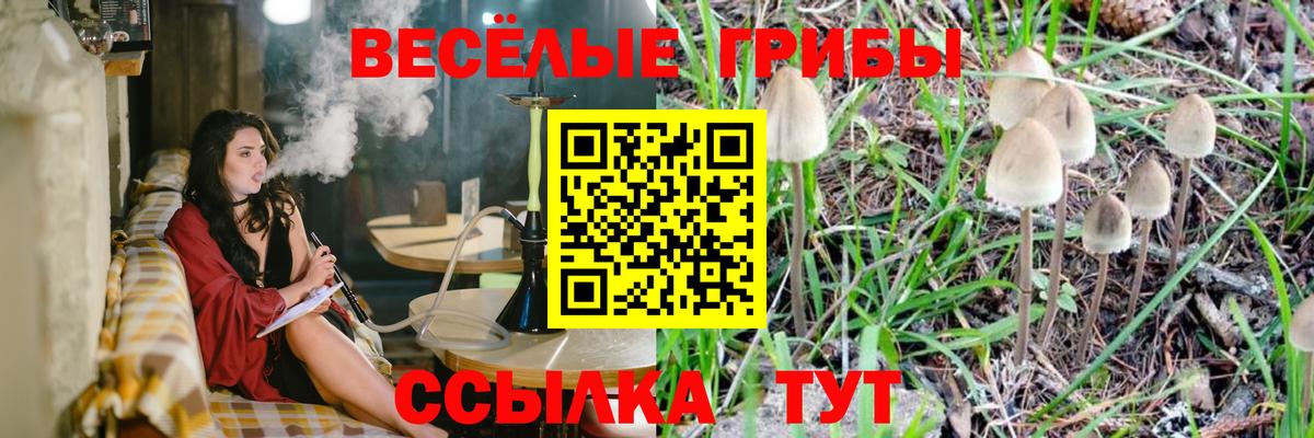 Галлюциногенные грибы Cubensis  Псилоцибиновые грибы MAGIC MUSHROOMS  Вход с VPN  купить наркотик  Екатеринбург 